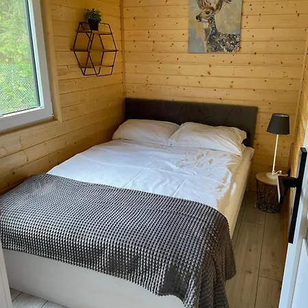 Wakacyjny Myśliborka 2 Nowe Warpno